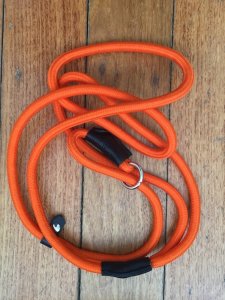 Long Dog Lead: Professional 10 metre Clip Dog Training Blaze Long Lead and 150cm Blaze Slip Lead Combo